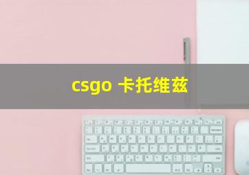 csgo 卡托维兹